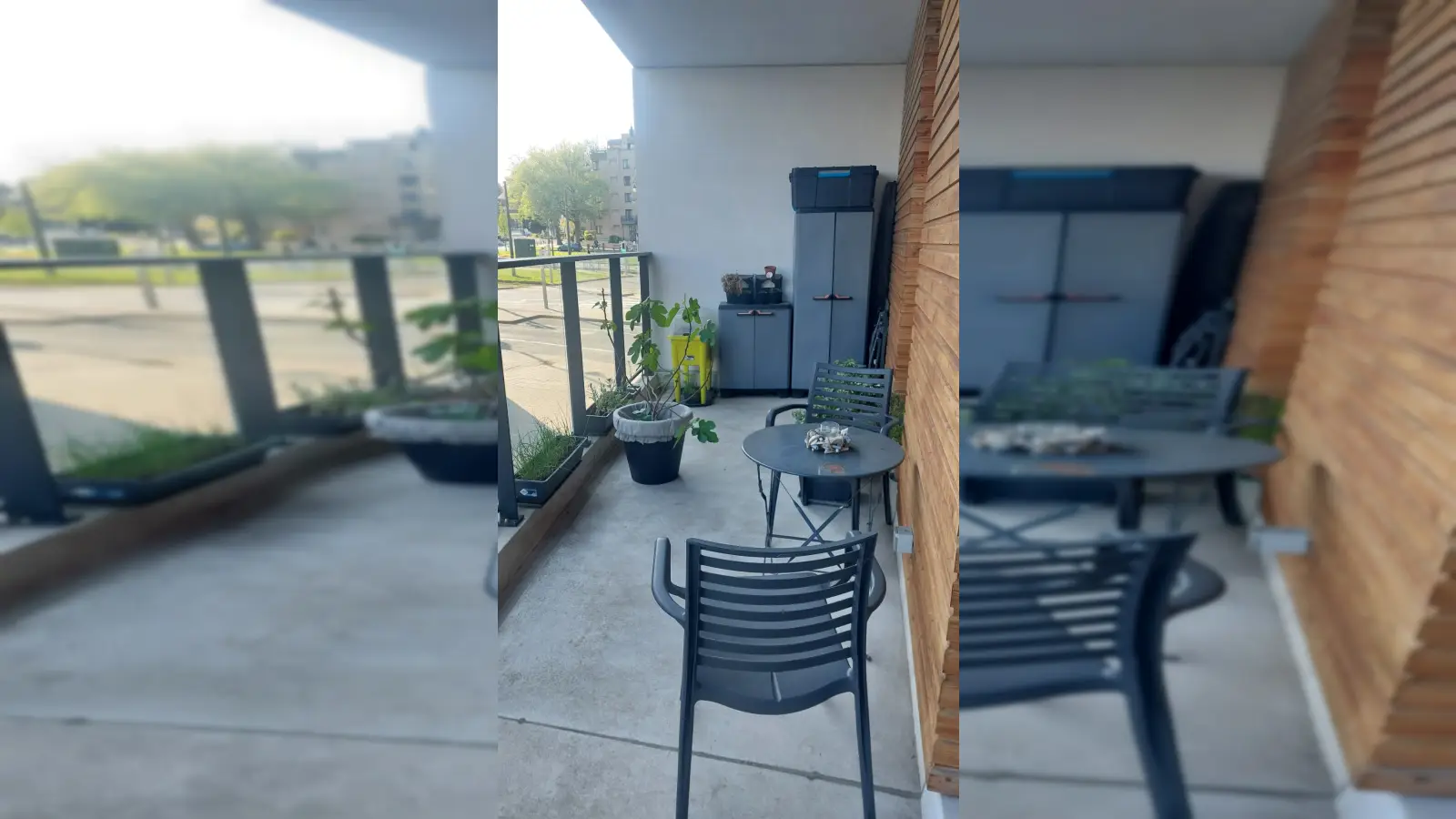 Patio/Terrace