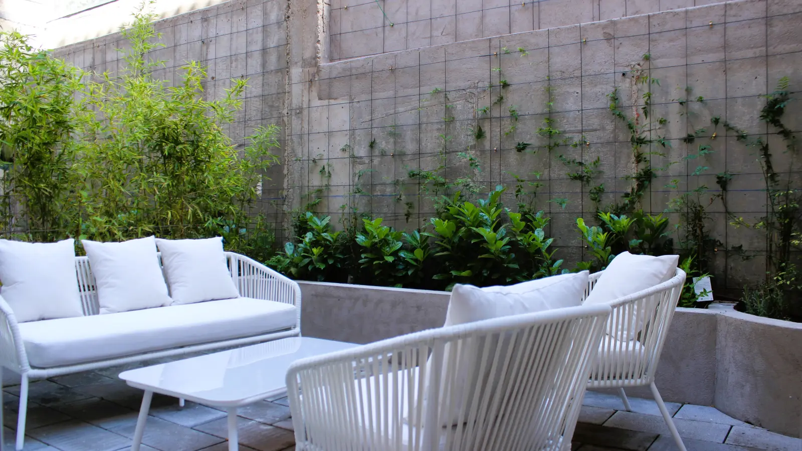 Pátio / Terraço