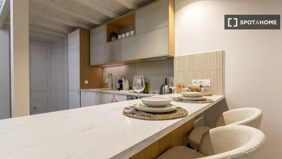 Apartment mono Lyon, 47m² — photo 3