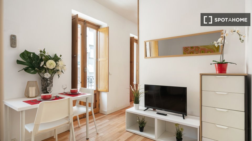 Apartment Madrid, 1 bed — photo 11