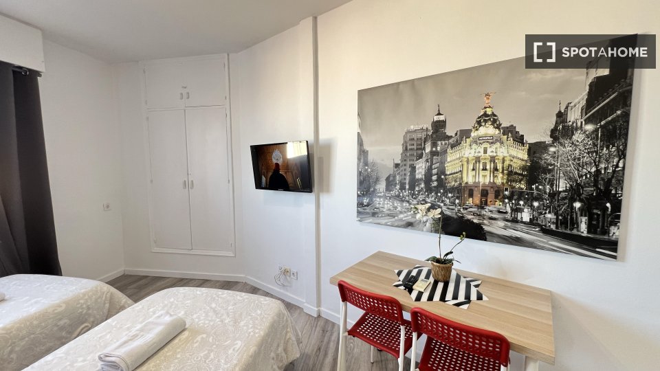 Apartment mono Madrid — photo 13