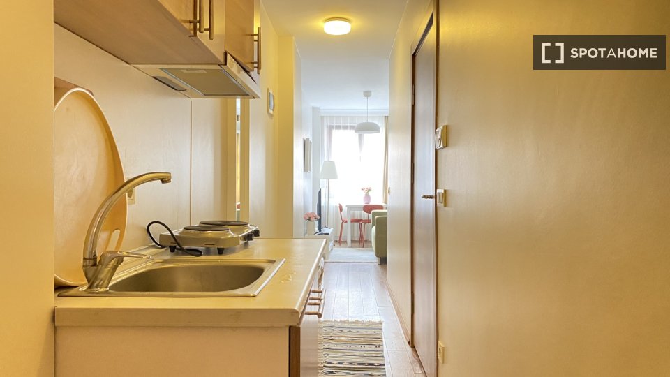 Apartment Istanbul, 1 bed — photo 9