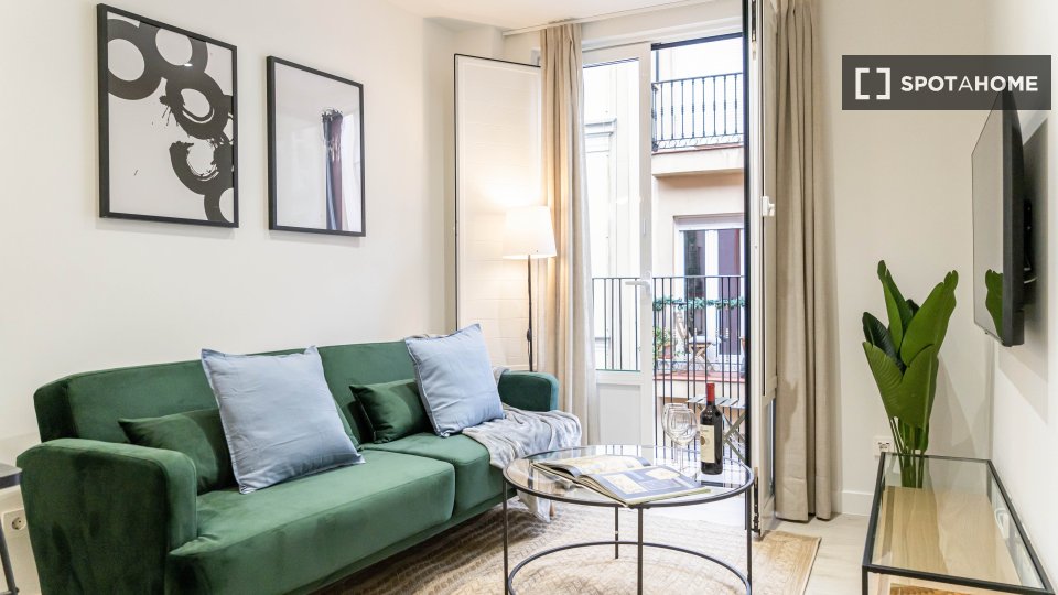 Apartment mono Madrid, 35m² — photo 8