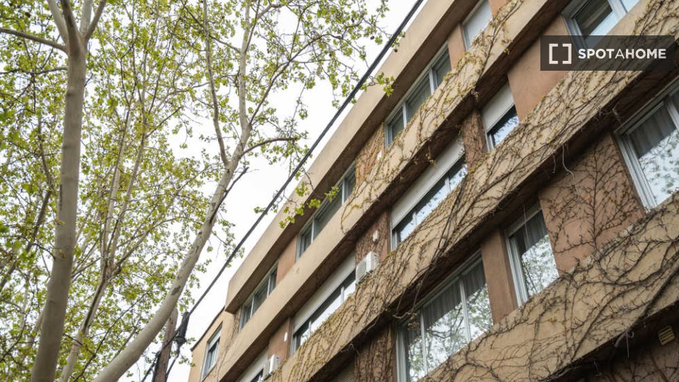 Double room Madrid, 10 beds — photo 65