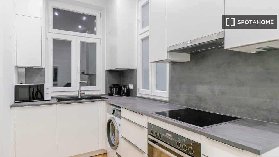 Apartment mono Vienna, 47m² — photo 4