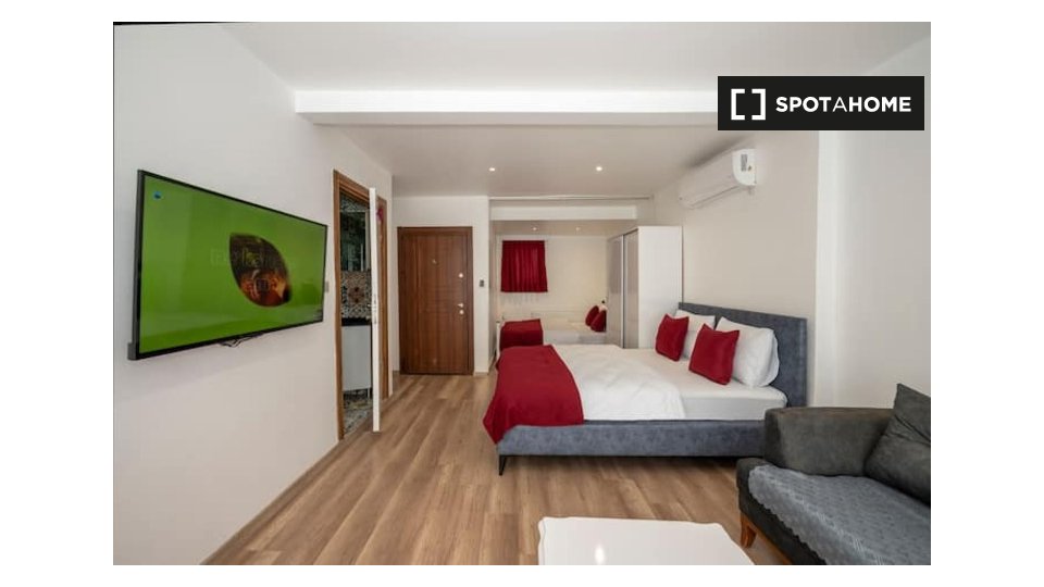Apartment mono Istanbul — photo 3
