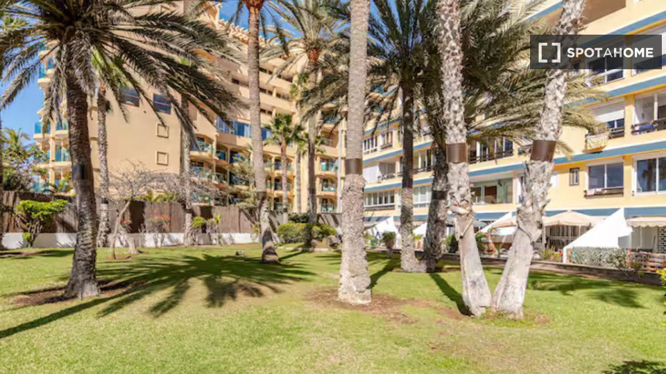 Apartment mono Santa_Cruz_De_Tenerife — photo 44