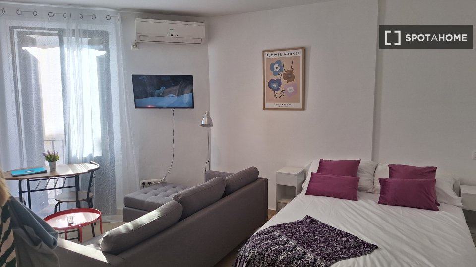 Apartment mono Seville, 45m² — photo 4