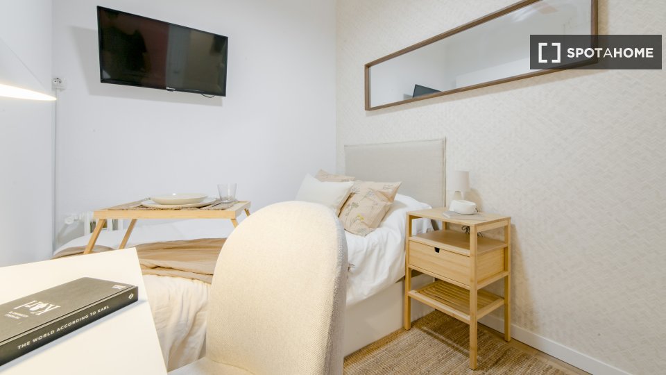 Double room Madrid, 11 beds, 250m² — photo 26