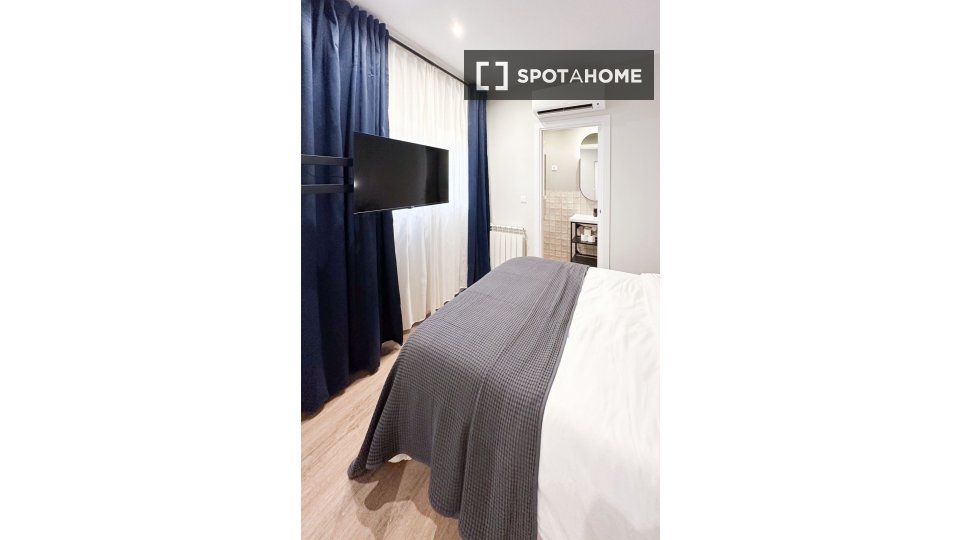 Double room Madrid, 5 beds, 100m² — photo 14