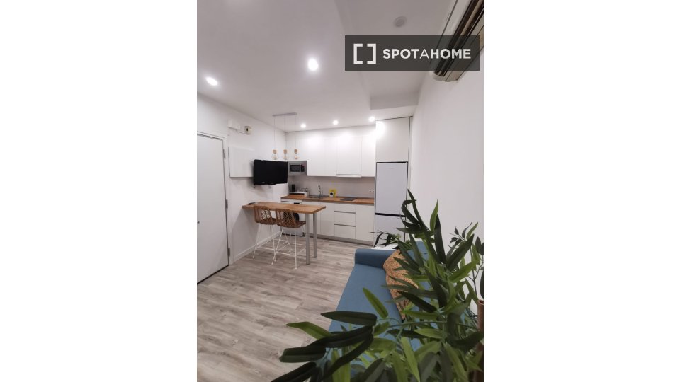 Apartment mono Madrid, 26m² — photo 1