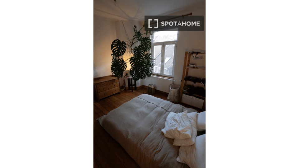 Double room Brussels, 2 beds, 65m² — photo 3