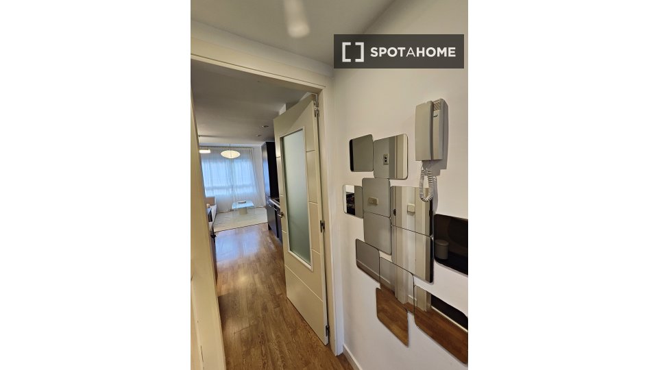 Apartment Madrid, 1 bed — photo 19