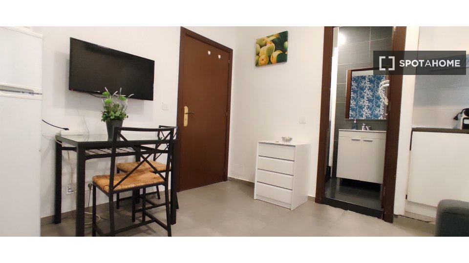 Apartment mono Madrid — photo 8