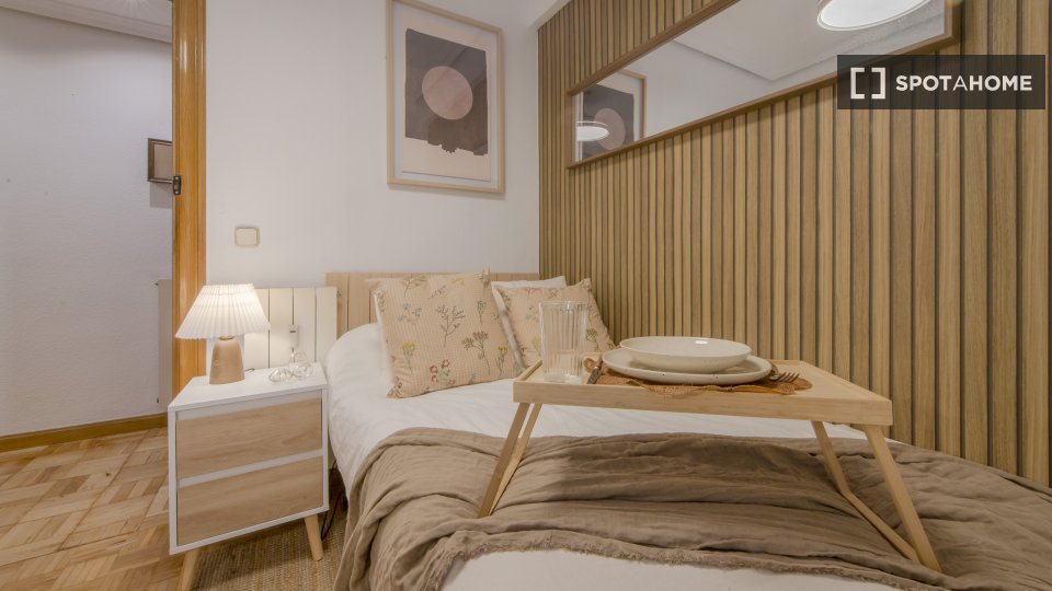 Double room Madrid, 6 beds, 100m² — photo 13