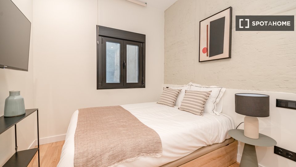Apartment mono Madrid, 20m² — photo 3