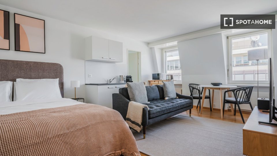 Apartment mono Zurich, 25m² — photo 5