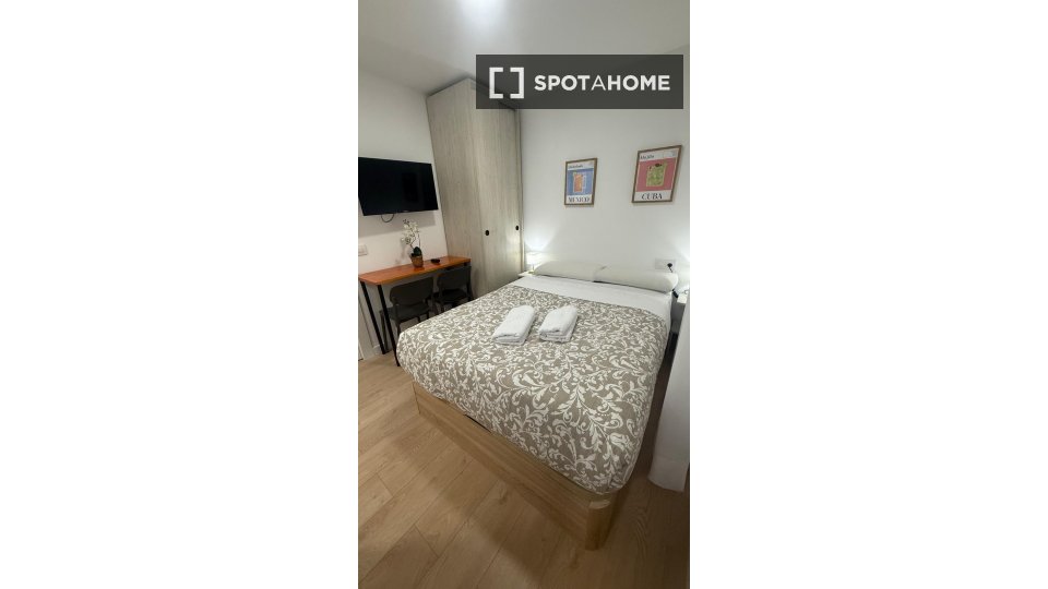 Apartment mono Madrid, 20m² — photo 7