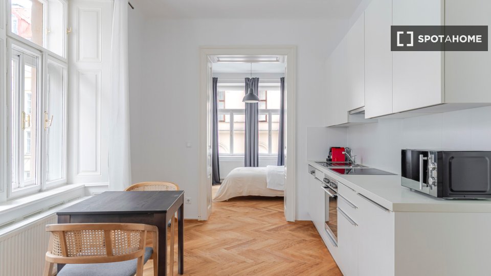 Apartment mono Vienna, 52m² — photo 3