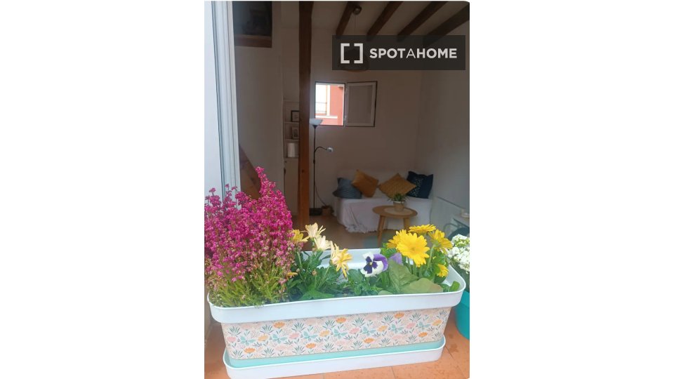 Apartment mono Madrid, 30m² — photo 16