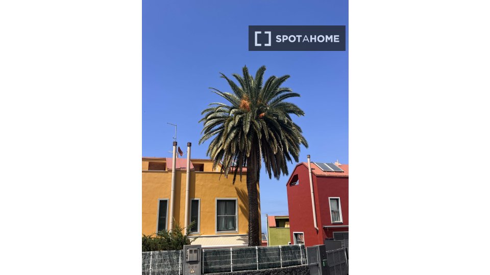 Double room Santa_Cruz_De_Tenerife, 1 bed, 188m² — photo 3