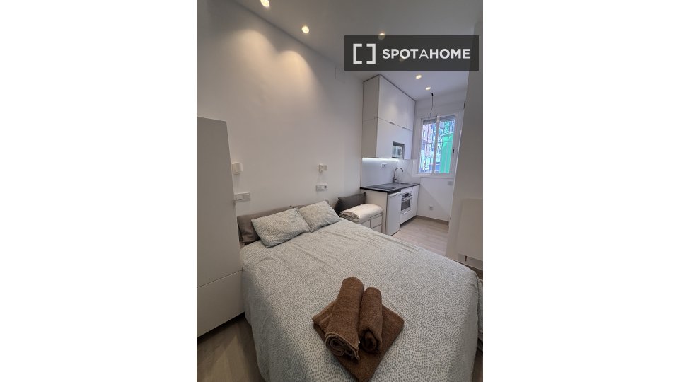 Apartment Madrid, 1 bed, 21m² — photo 5