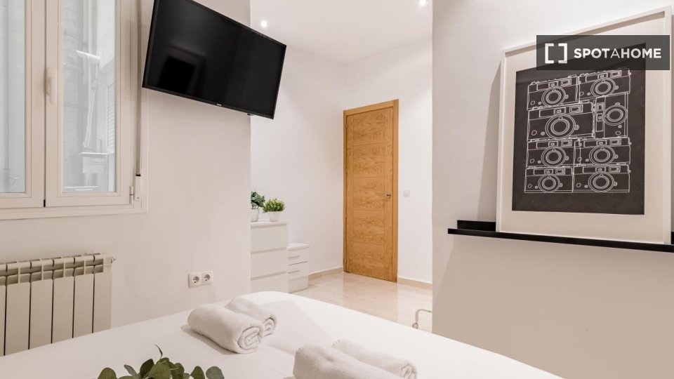 Apartment Madrid, 4 beds — photo 19