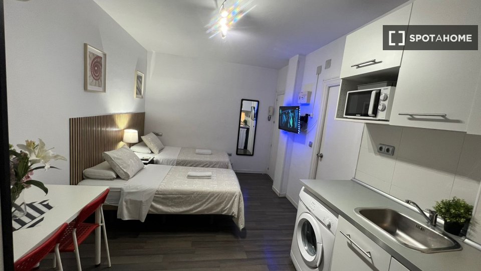 Apartment mono Madrid, 25m² — photo 7