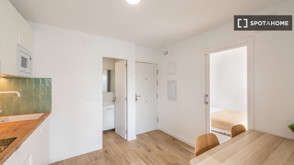 Apartment mono Madrid — photo 9