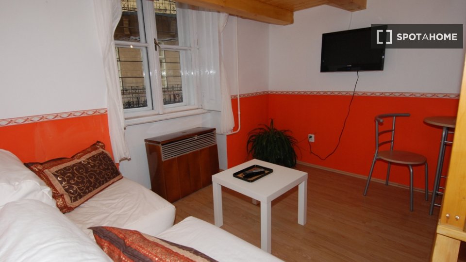 Apartment mono Budapest, 47m² — photo 5