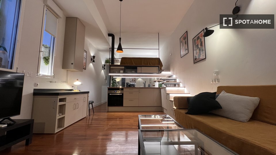 Apartment mono Madrid, 50m² — photo 19
