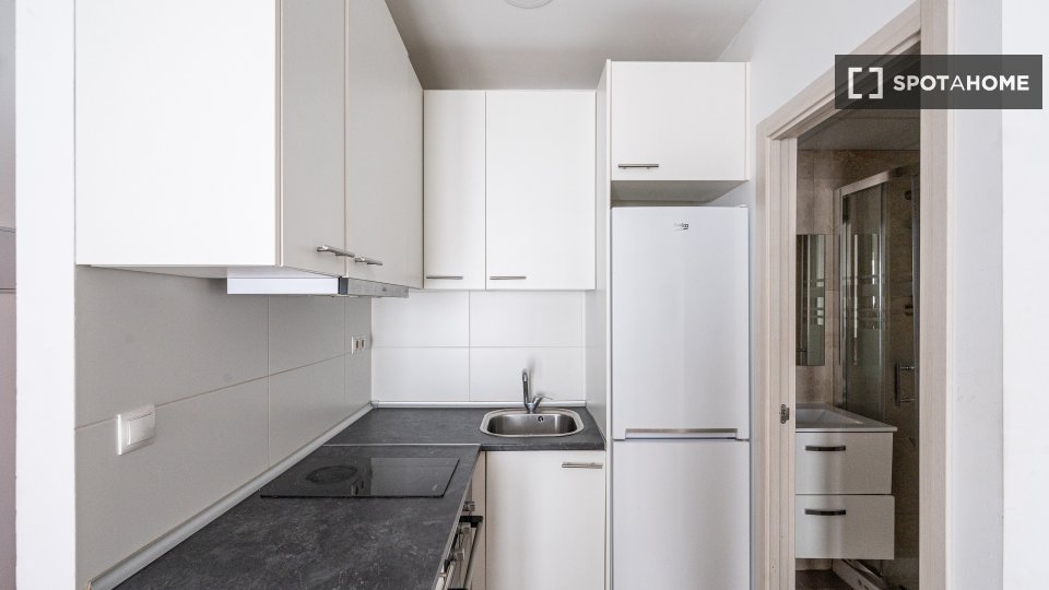 Apartment Madrid, 1 bed — photo 2