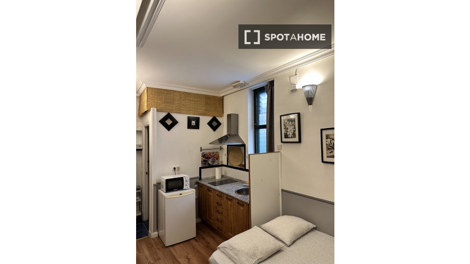 Apartment mono Madrid, 20m² — photo 26