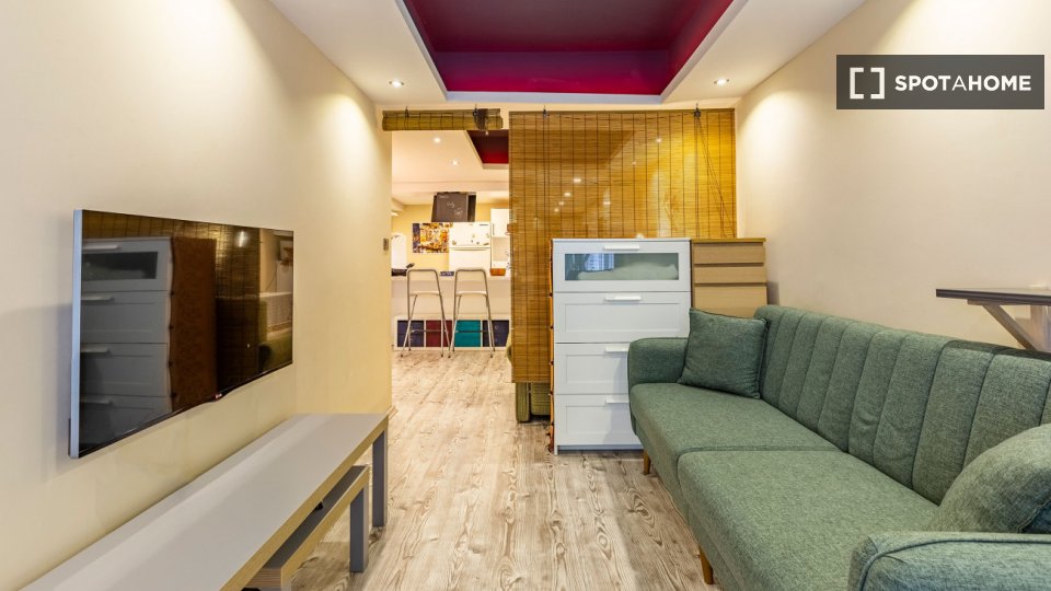 Apartment Istanbul, 1 bed — photo 14