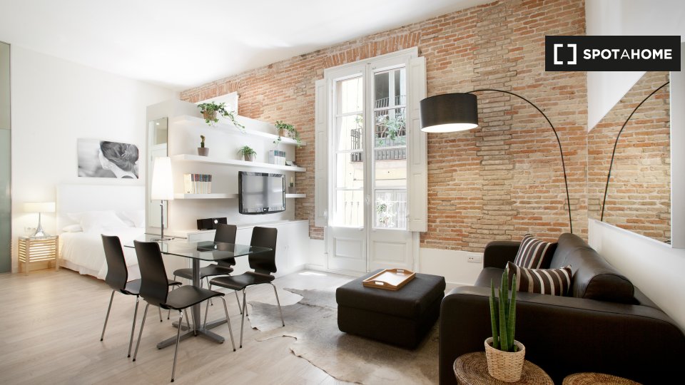 Handsome studio apartment for rent in Barri Gòtic, Barcelona (ref