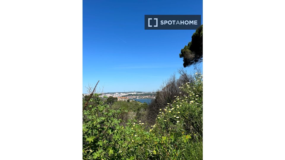 Apartment Lisbon, 1 bed — photo 9