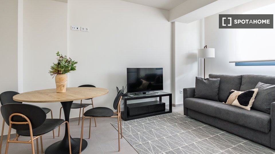 Apartment Valencia, 1 bed — photo 42