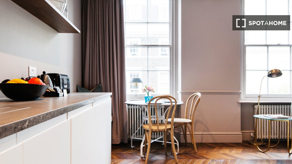 Apartment London, 1 bed — photo 10