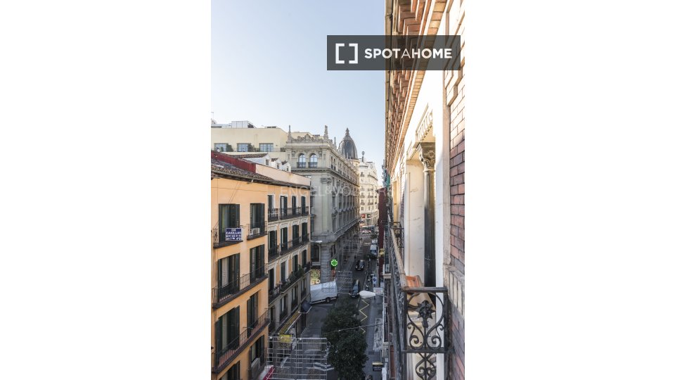 Apartment mono Madrid, 50m² — photo 10