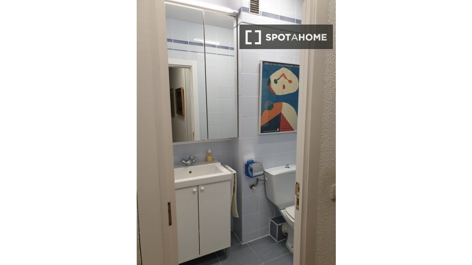 Double room Madrid, 1 bed, 120m² — photo 23
