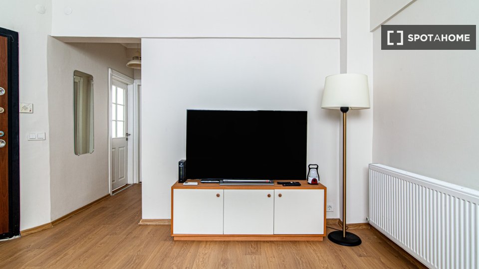 Apartment Istanbul, 1 bed — photo 3