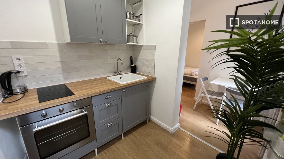 Apartment Budapest, 2 beds, 40m² — photo 8