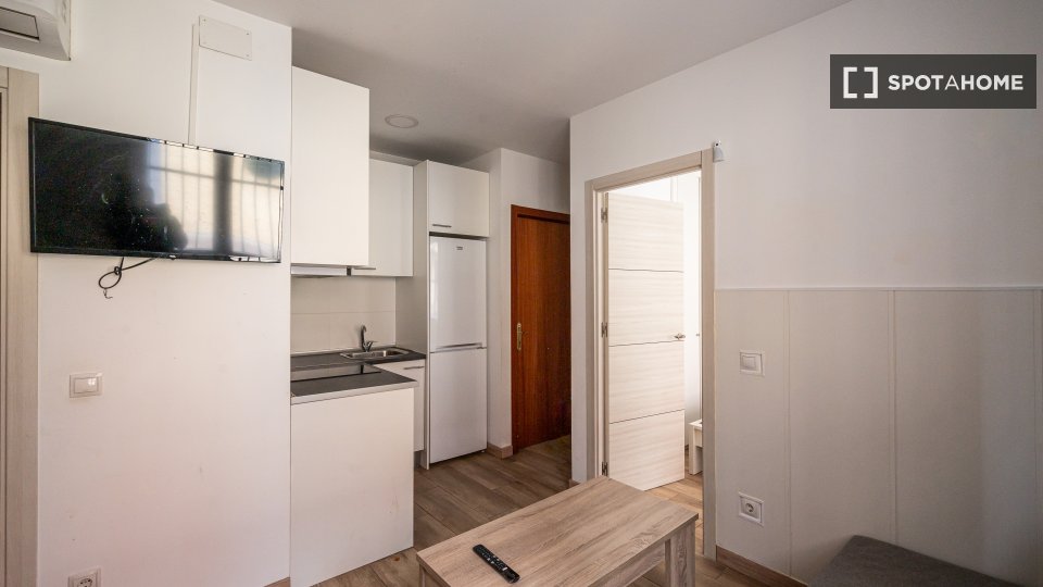 Apartment Madrid, 2 beds, 40m² — photo 8