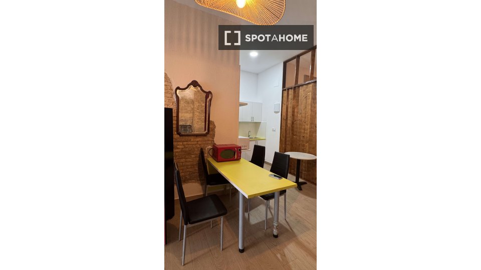 Apartment Valencia, 1 bed — photo 19