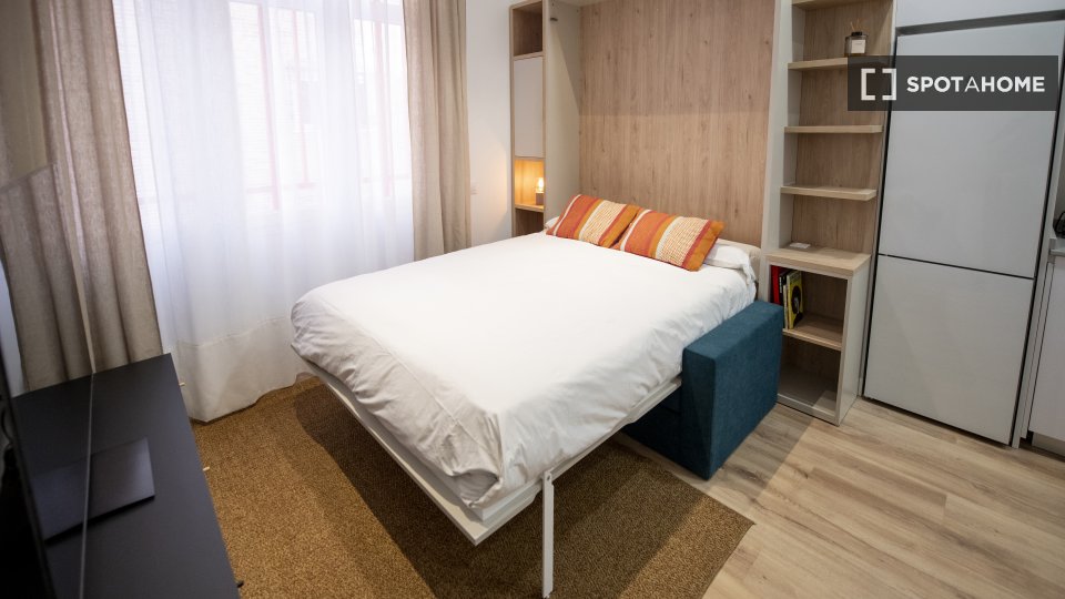 Apartment mono Madrid — photo 5