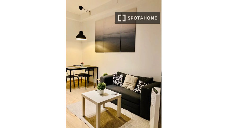 Apartment Madrid, 1 bed — photo 3