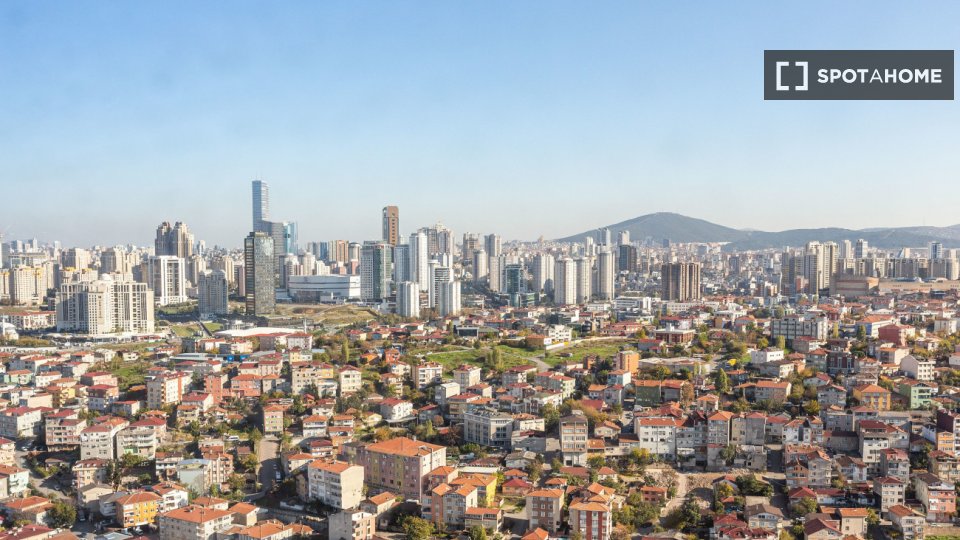 Apartment Istanbul, 1 bed — photo 7