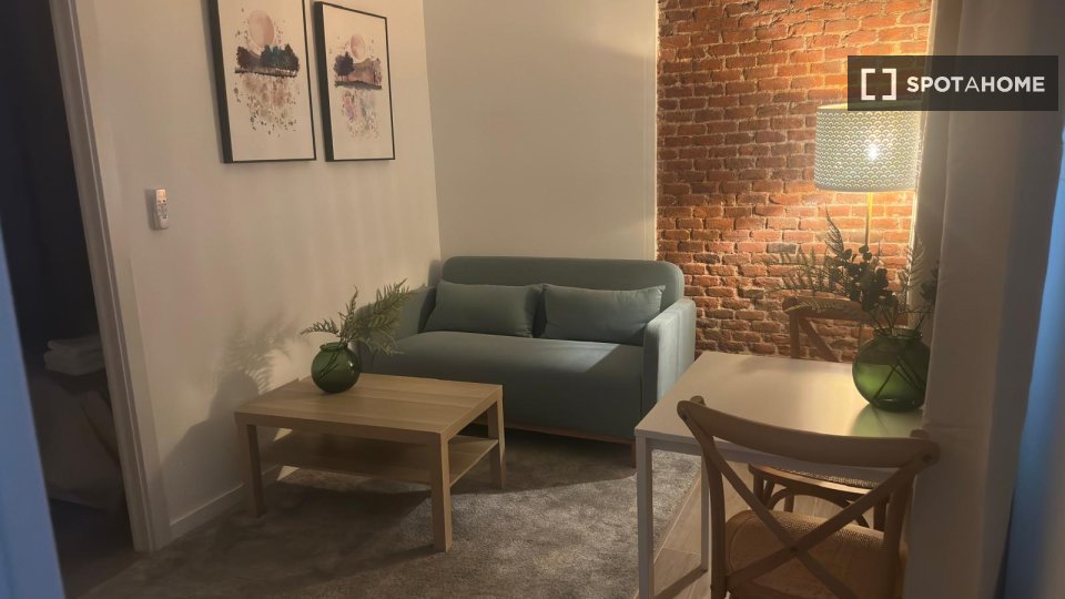 Apartment Madrid, 1 bed — photo 17