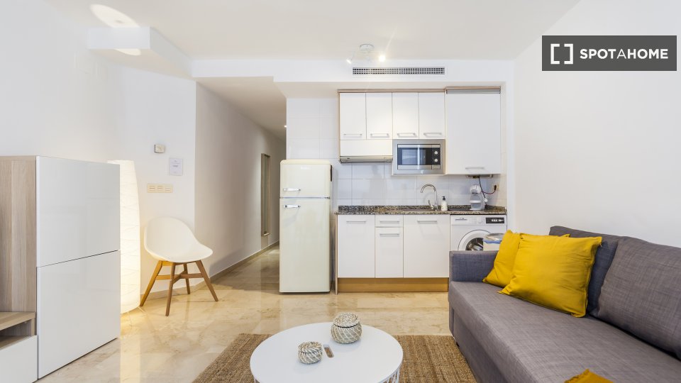 Apartment Valencia, 1 bed — photo 5
