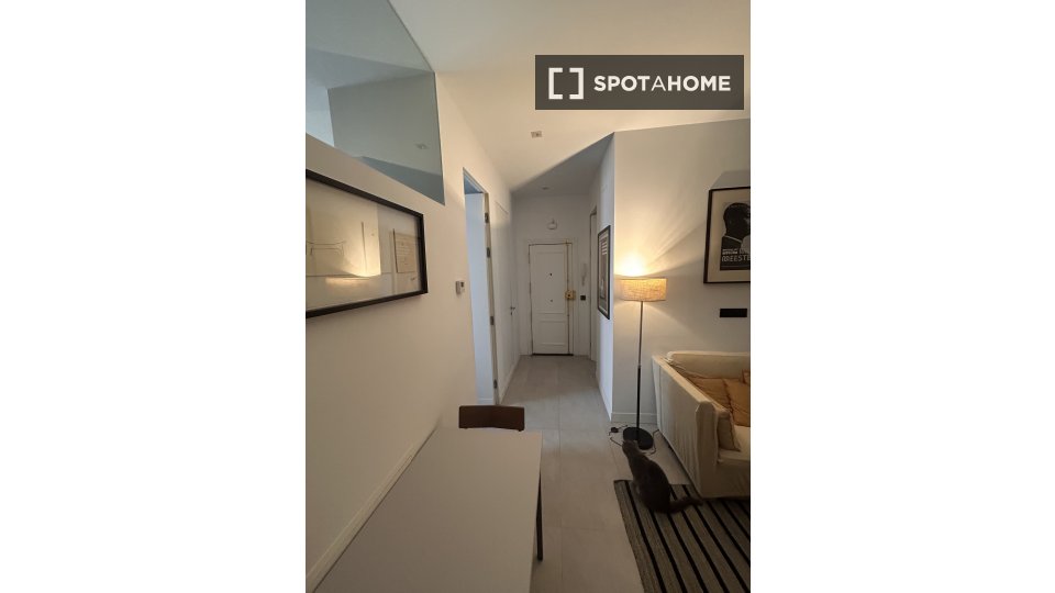 Double room Madrid, 1 bed, 180m² — photo 14